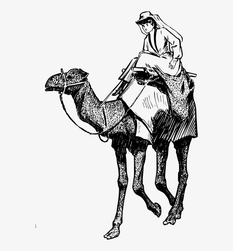 A Woman In A Camel - Woman In A Camel Art, transparent png