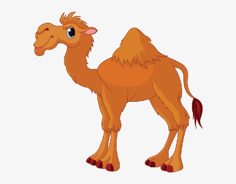 Nativity Camel Clip Art Gallery - Camel Cartoon, transparent png