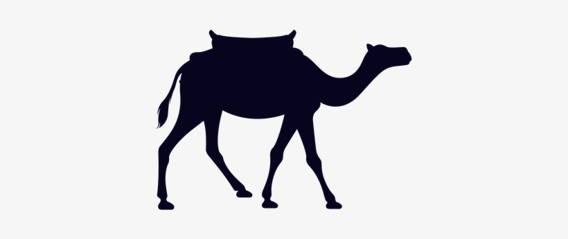 Animal, Camel, Mammal, Wildlife, Africa - Man On Camel Png, transparent png