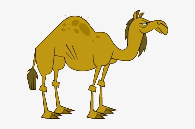 Camel - Total Drama World Tour Animals, transparent png