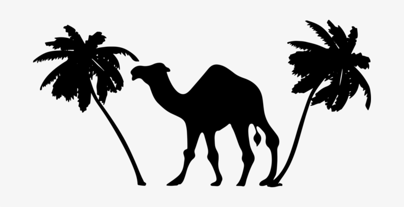 Palm Trees Sahara Desert Wild Bactrian Camel Camel Clipart 686x340 Png Download Pngkit