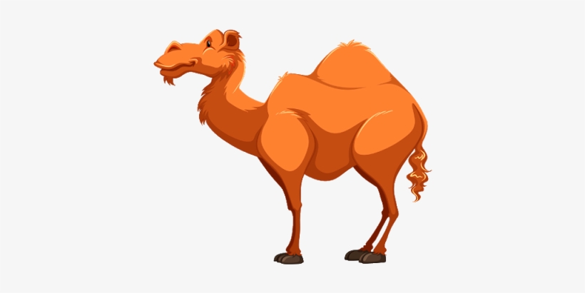 Download Free "camel Clipart 10" Png Photo, Images, transparent png