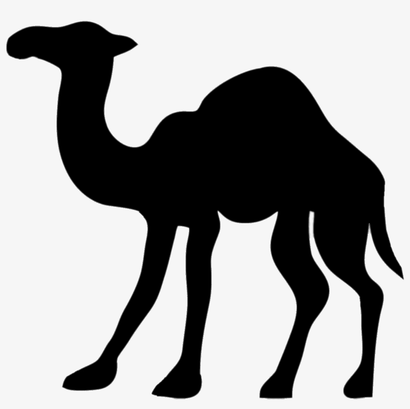 Camel Png - Camel Silhouette Transparent Background, transparent png