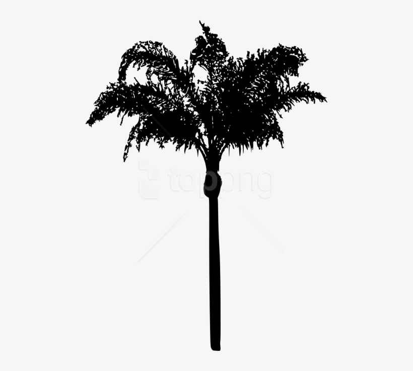 Free Png Palm Tree Png - Transparent Palm Trees Silhouette, transparent png