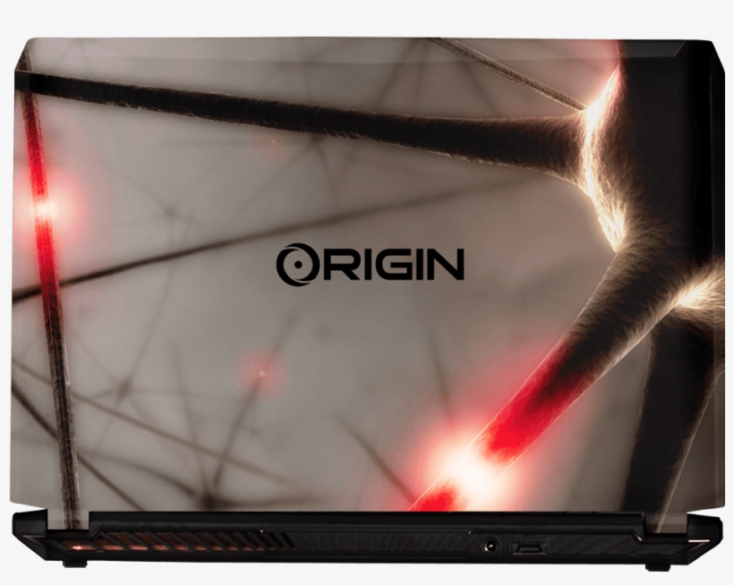 Back View Of New Eon15-s With Custom Painted Neurons - Laptop Paint Origin Pc, transparent png