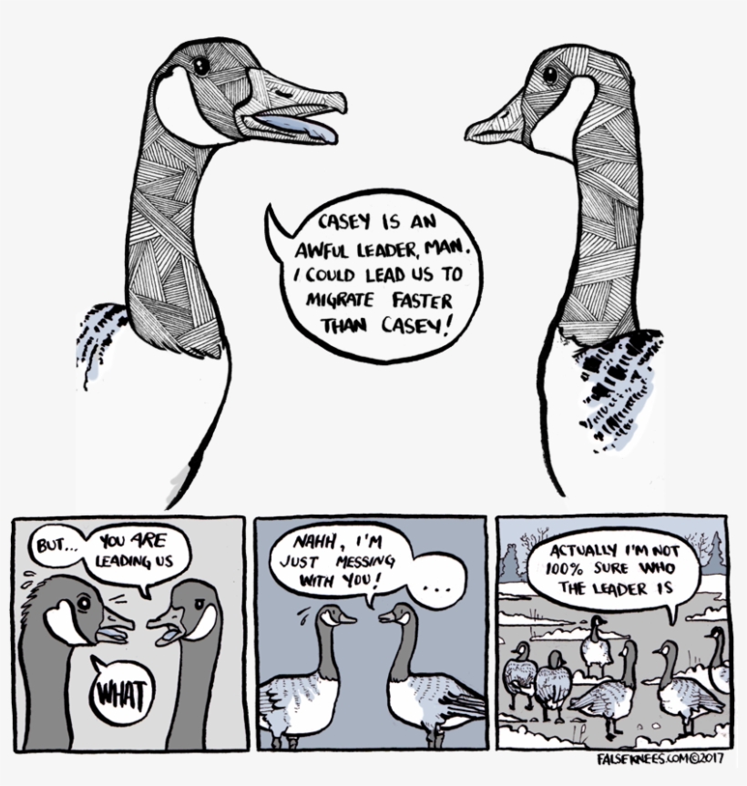 First - False Knees Goose, transparent png