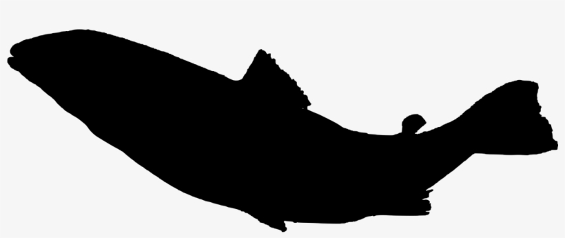 Fish Sea Life Food - Sea Life Silhouette Png, transparent png