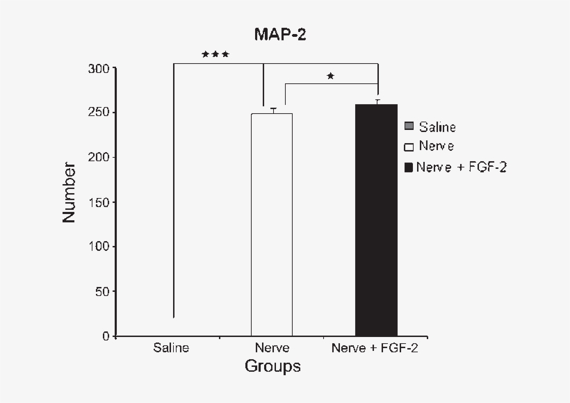 Map 2 Immunoreactivity Profiles At The Epicenter Of - Diagram, transparent png