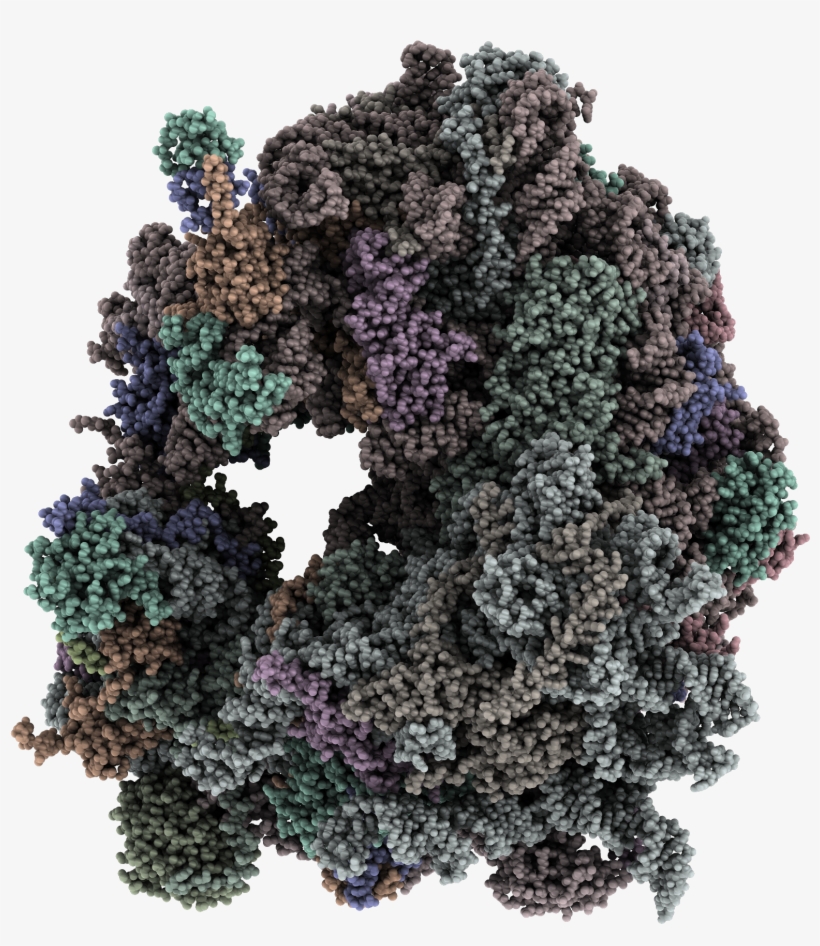 Realistic Preset Mode - Eye Shadow, transparent png