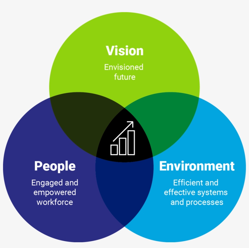 Circle, transparent png
