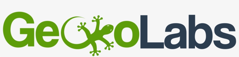 Gecko Form, transparent png