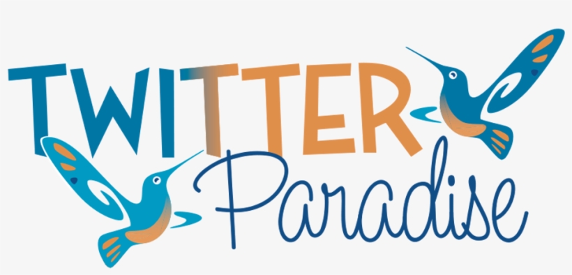 Contact/ Follow Us - Calligraphy, transparent png