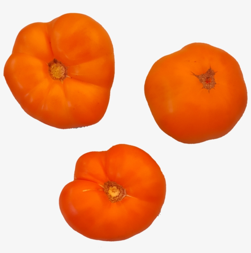 1532382429543 - Tomato, transparent png