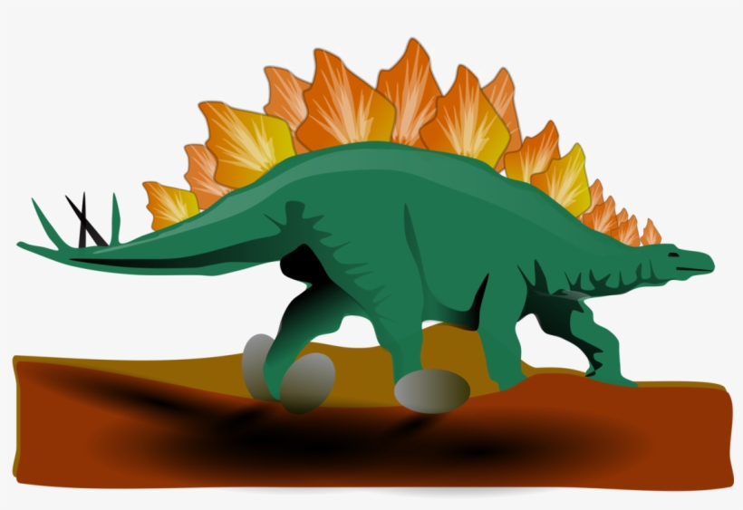 Stegosaurus The Dinosaur Download Drawing - Stegosaurus Clipart, transparent png