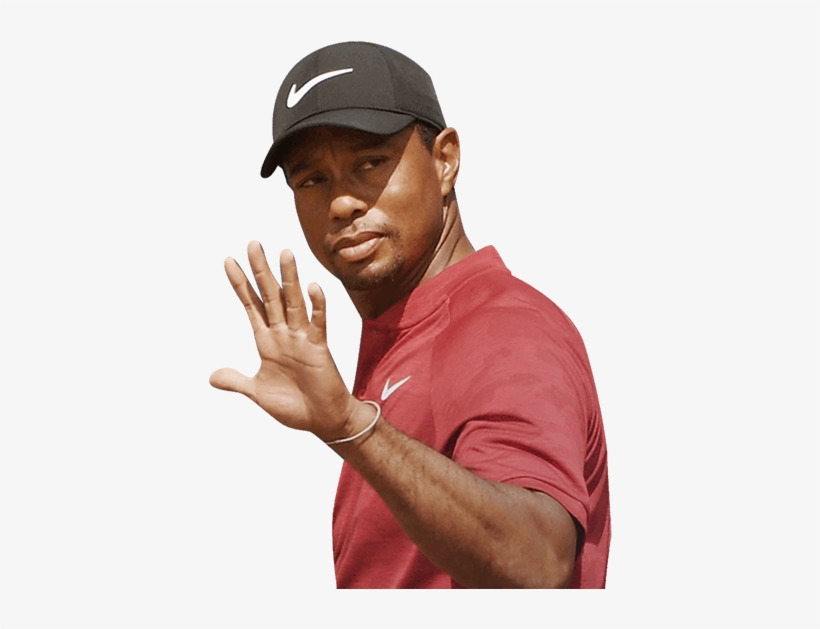 Tiger Woods's Player Profile For The 148th Open At - Man, transparent png