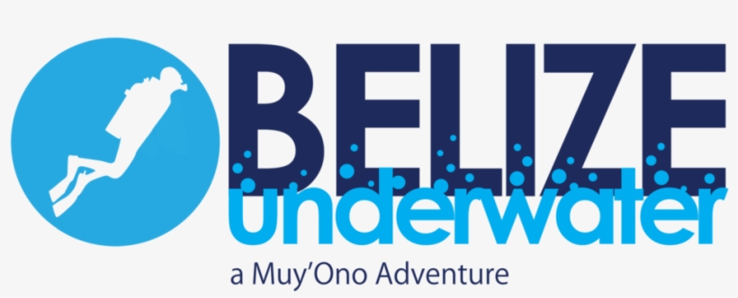 Bu W Mo - Graphic Design, transparent png