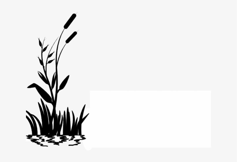 Grass Vector Png, transparent png