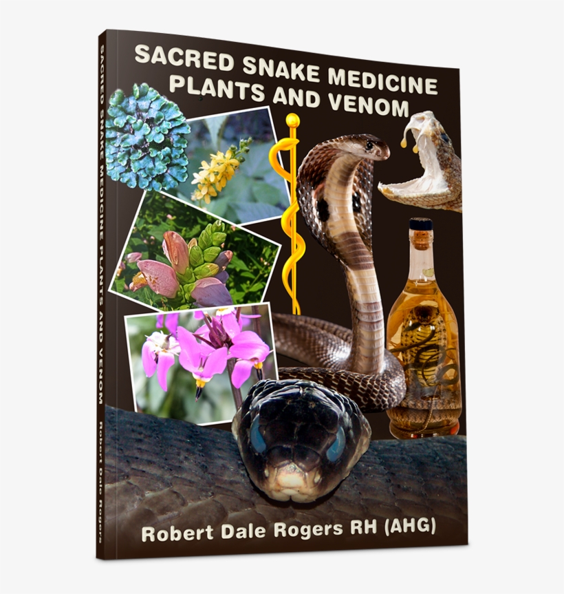 Sacred Snake Medicine, Plants And Venom - Champagne, transparent png