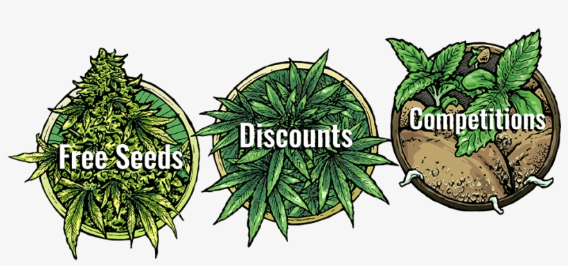Spend €99 Get Your 14 Seed 420 Mega Bundle - Coin, transparent png