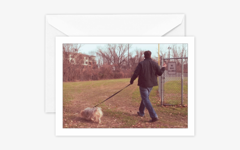 Blank No Dogs Allowed - Dog Walking, transparent png