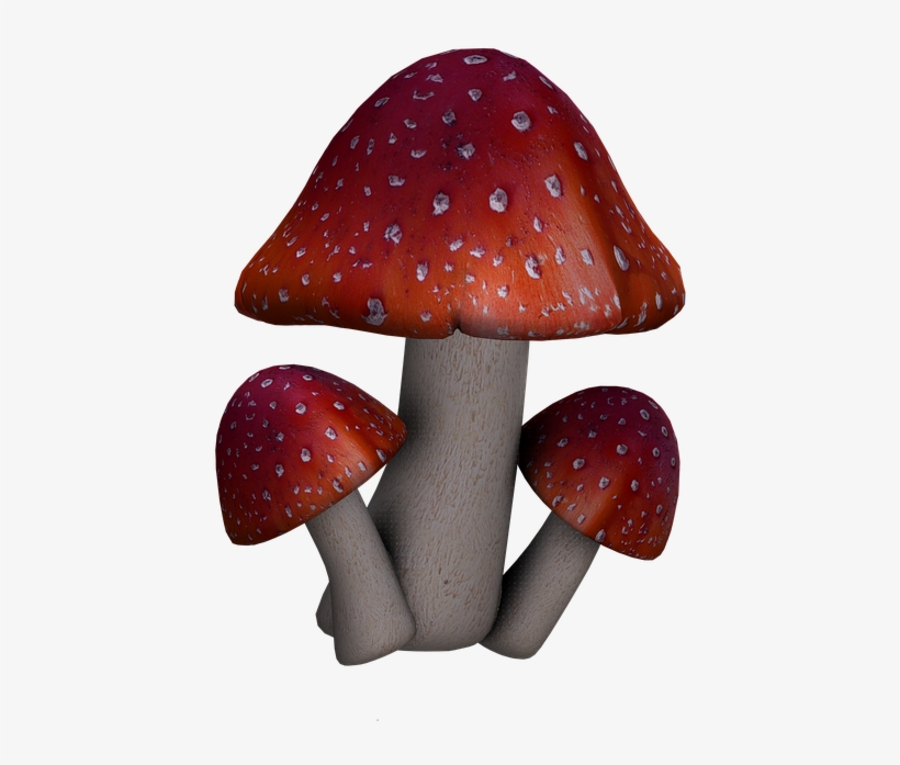 Fly Agaric, Mushrooms, Fantasy, Digital Art, Isolated - Pilze Transparenter Hintergrund, transparent png