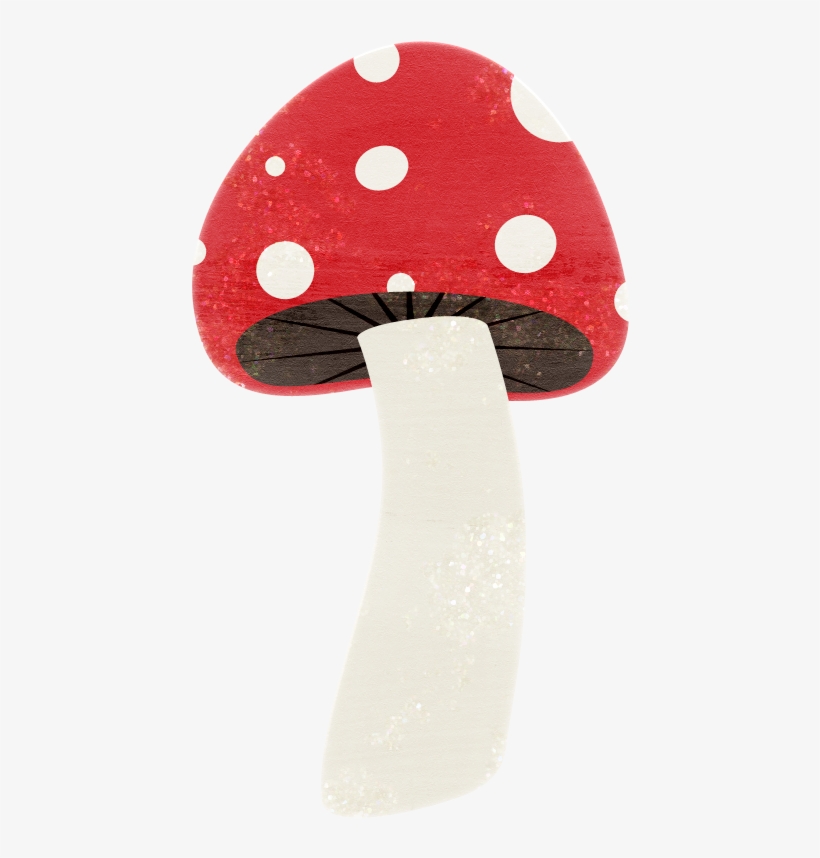 ‿✿⁀shrooms‿✿⁀ Fungi - Shiitake, transparent png