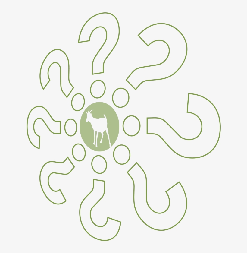 Questions About Easykeeper, transparent png