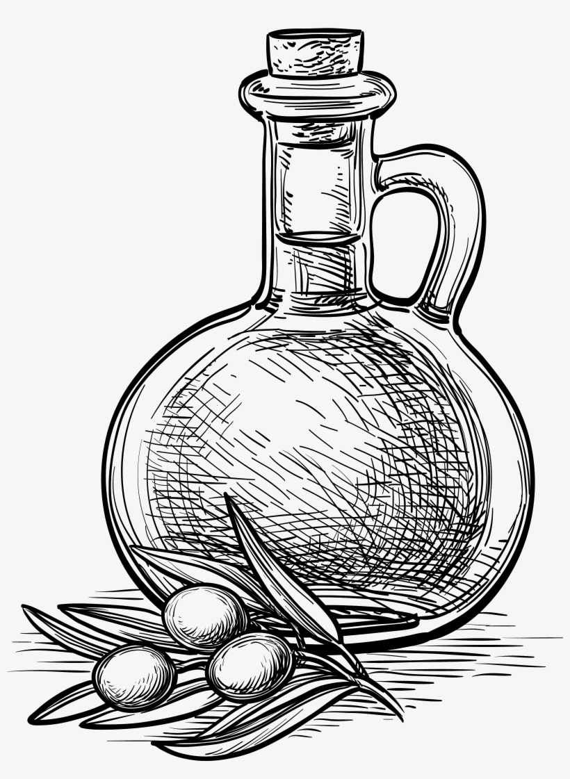 2541 X 3291 5 - Olive Sketch Vector Free, transparent png