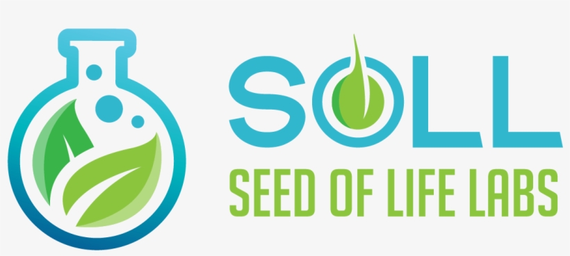 Don T Have To Impress, transparent png