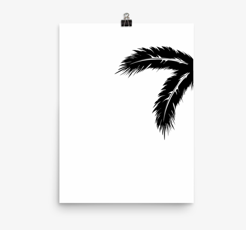 Palm Leaves Poster - Attalea Speciosa, transparent png