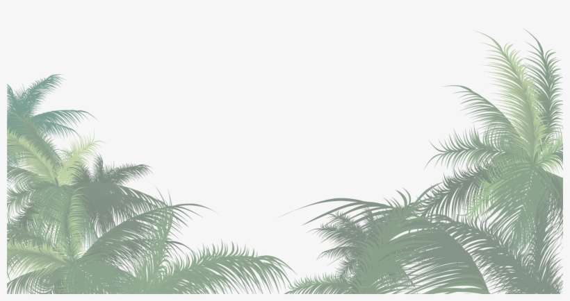 Scroll Down Ménagerie By Night - Png Palm Tree Leaves, transparent png