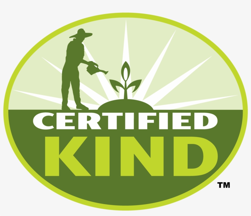 1500 X 1287 1 - Graphic Design, transparent png