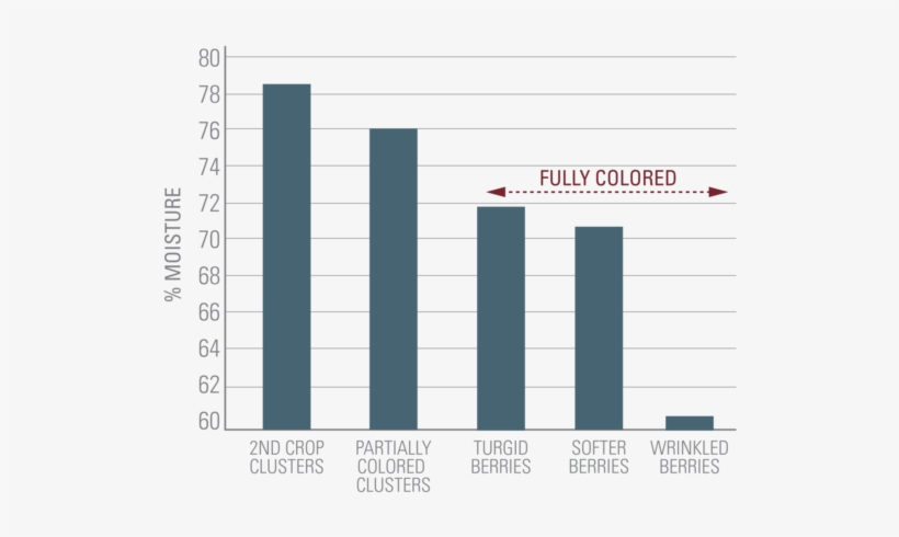 Many Of These Changes Could Be Directly Related To - Number, transparent png