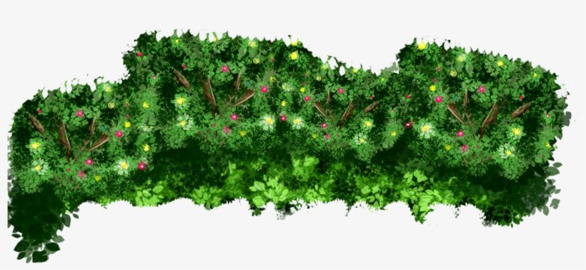 Arena Events Events Bushes - Larch, transparent png