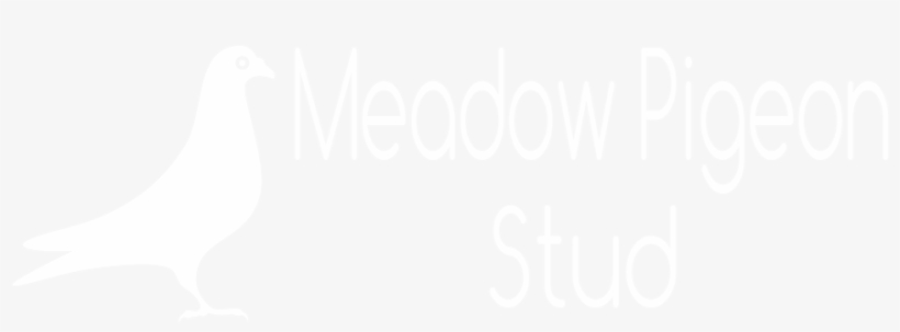Meadow Pigeon Stud Logo - Calligraphy, transparent png