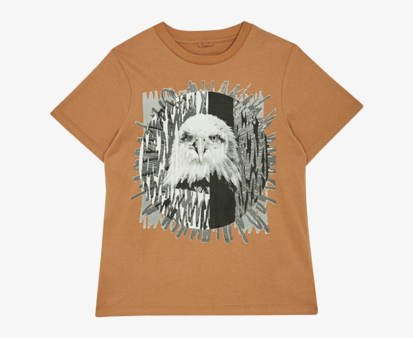 Chewbacca, transparent png