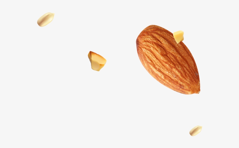 Img/footer/almond Seed - Almond, transparent png