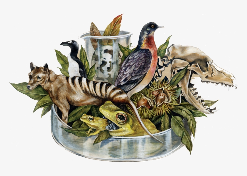 Cincinnati - Group Of Extinct Animals, transparent png