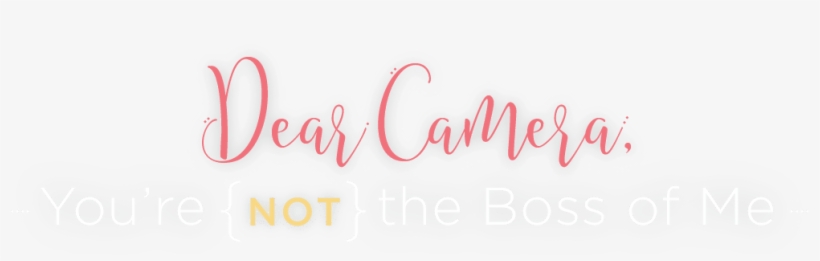 Photography Classes For Ladies, Mammas, And Girl Bosses - Calligraphy, transparent png