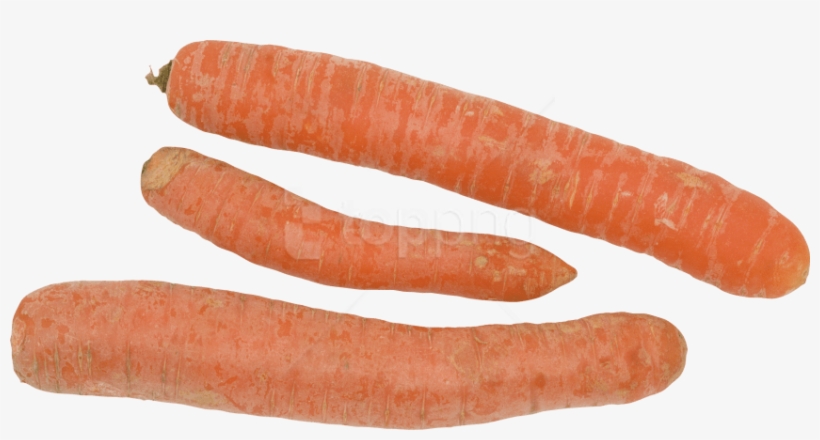 Free Png Carrot Png Images Transparent - Baby Carrot, transparent png