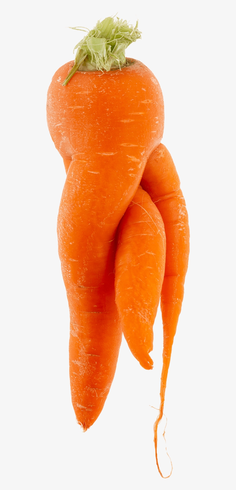 R - Wonky Carrot, transparent png