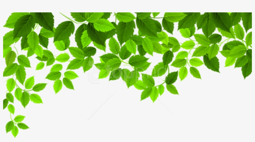 Free Png Download Spring Leaves Decoration Png Images - Spring Png, transparent png