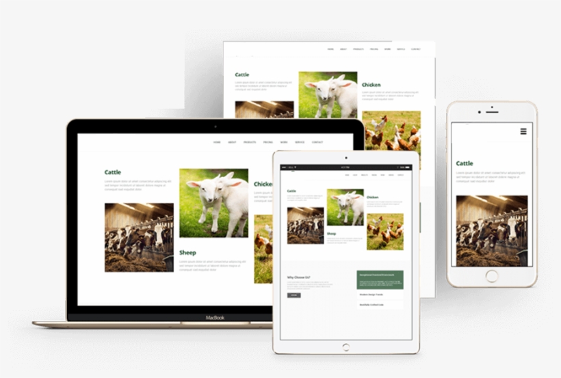 Zelco - Online Advertising, transparent png
