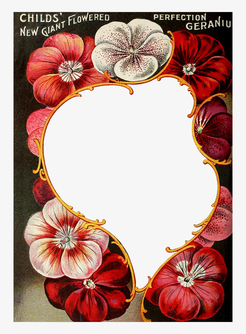 Wings Of Whimsy - Floral Design, transparent png