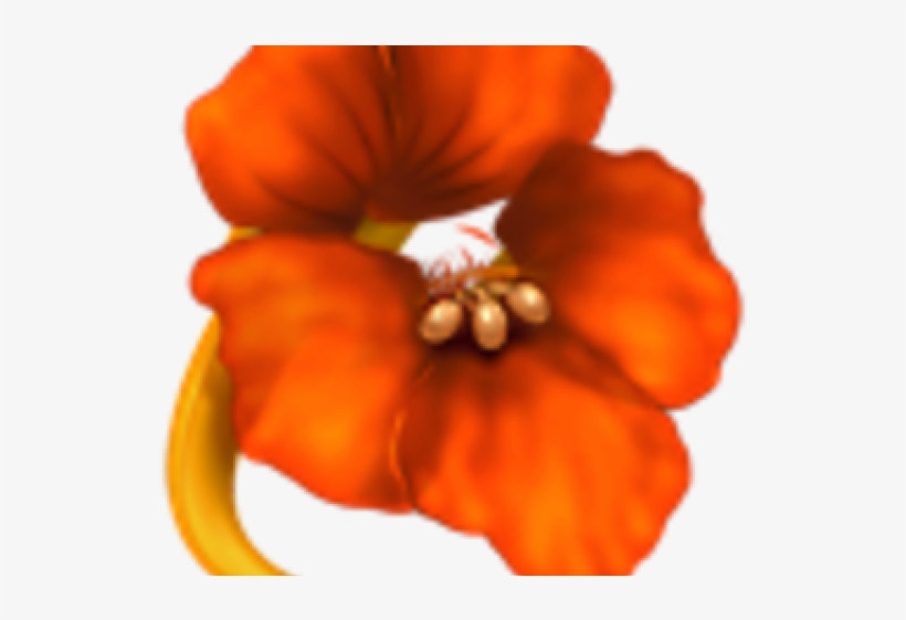 Flower Icon For Mac, transparent png