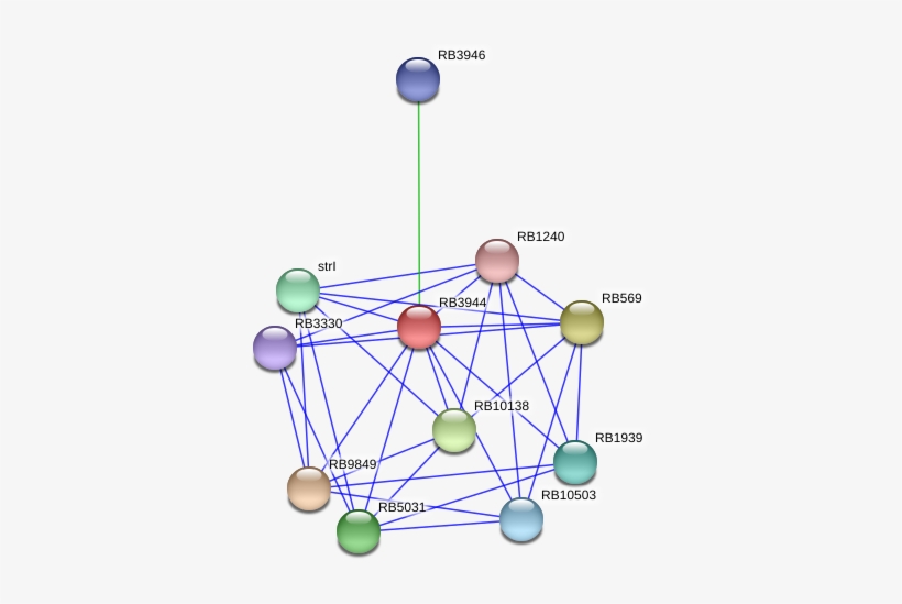 Circle, transparent png