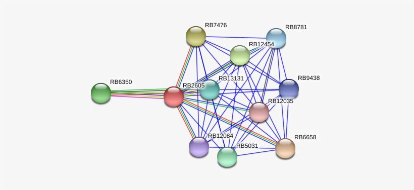 Circle, transparent png
