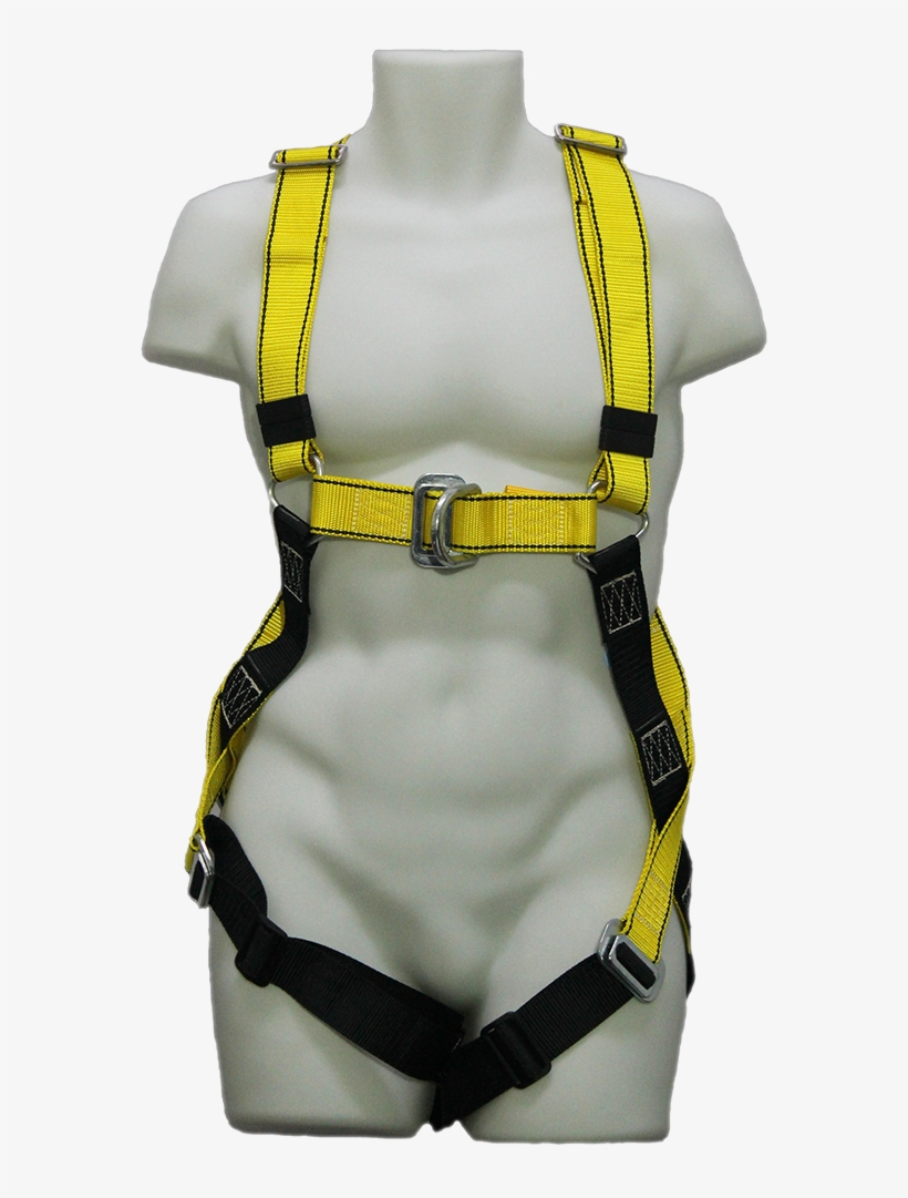 Lifejacket, transparent png