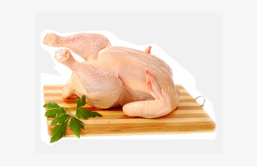 Chicken Broiler With Skin - White Chicken Png Hd, transparent png
