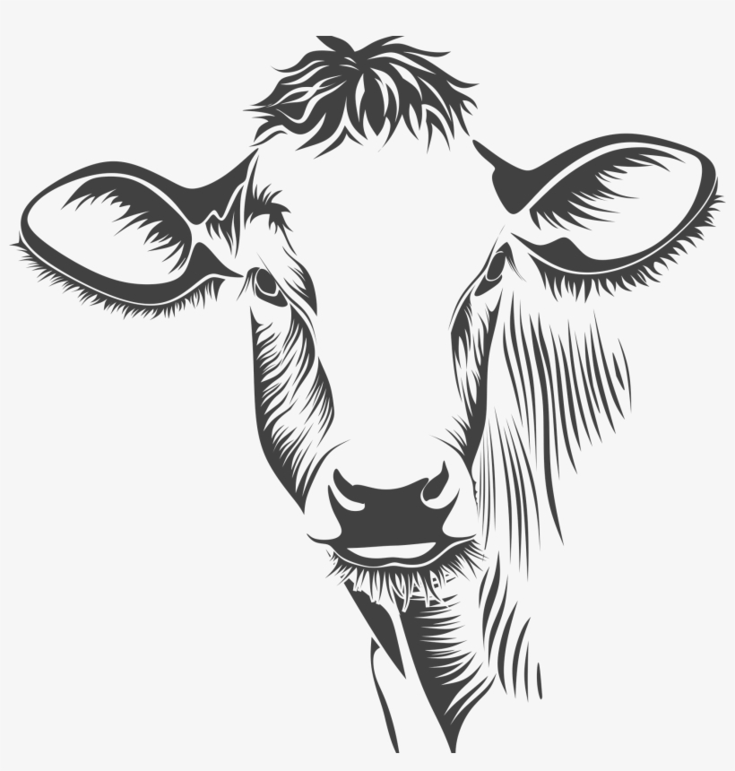 Png Library Library Organ Meats Beef Bones Pound Off - Cow Face On Canvas, transparent png